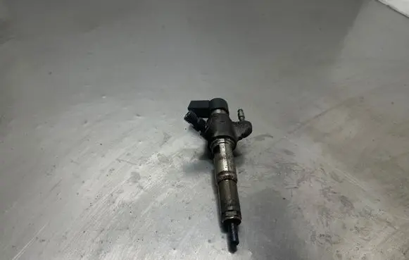 Peugeot 508 Fuel injector 9674973080 50274V05 86522