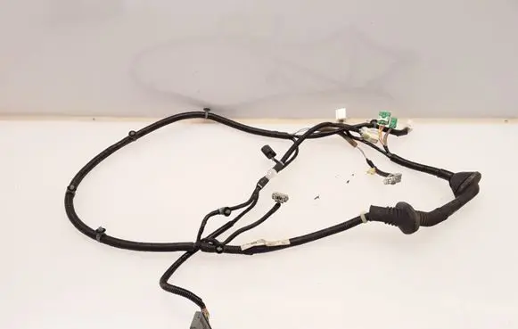 Front door wiring loom