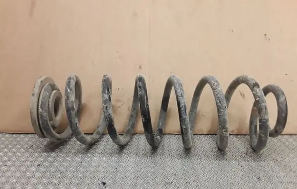 Rear coil spring