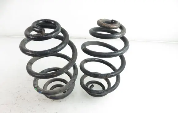 Volkswagen PASSAT B5.5 Rear coil spring 