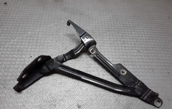 Tailgate/trunk/boot hinge
