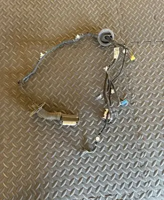 Front door wiring loom