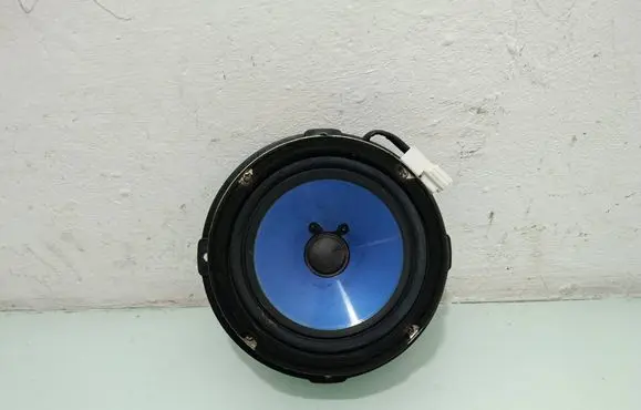 Hyundai Santa Fe Rear door speaker 963002B110