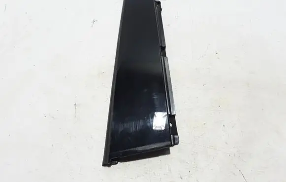 Other rear door trim element
