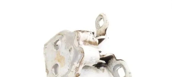Dacia Sandero Rear door lower hinge