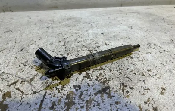 Mercedes-Benz R W251 Fuel injector A6420701387 070818 0445115064