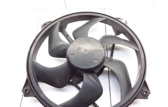 Citroen Xsara Picasso Electric radiator cooling fan 1831237016