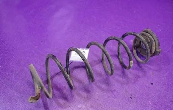 Renault Laguna II Rear coil spring
