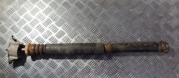 Mazda 3 I Rear shock absorber/damper bp4k28910d