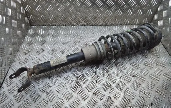 Mercedes-Benz CLS C219 Front shock absorber with coil spring A2193200713
