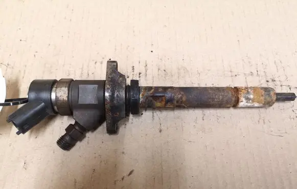 Ford Focus C-MAX Fuel injector 0445110259