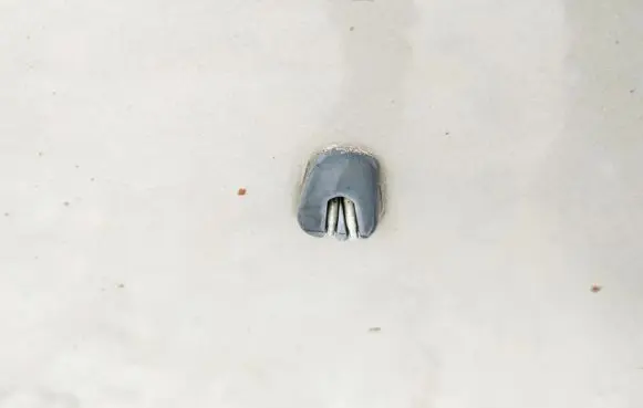 Windshield washer spray nozzle