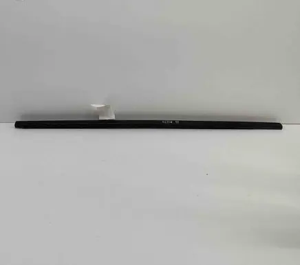 Honda Civic X Door glass trim 72410TEAT01