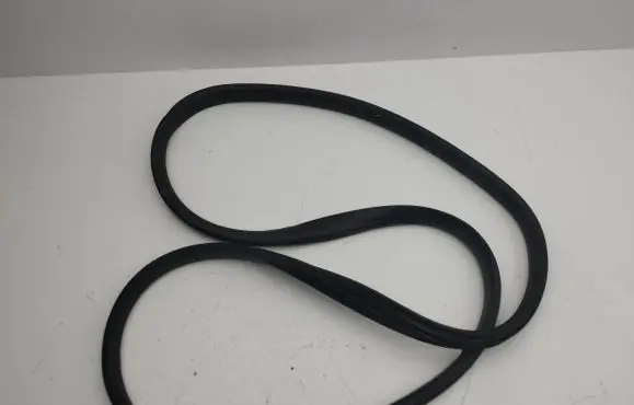 Renault Megane E-Tech Rear door rubber seal (on body) 