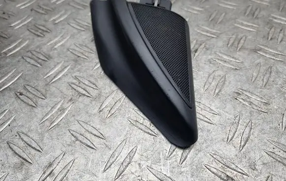 Front door high frequency speaker