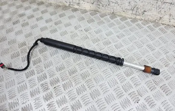 Tailgate/trunk strut/damper