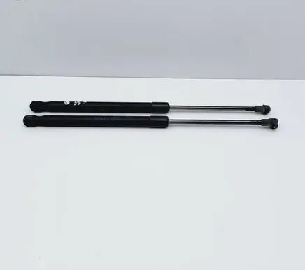 Tailgate/trunk strut/damper