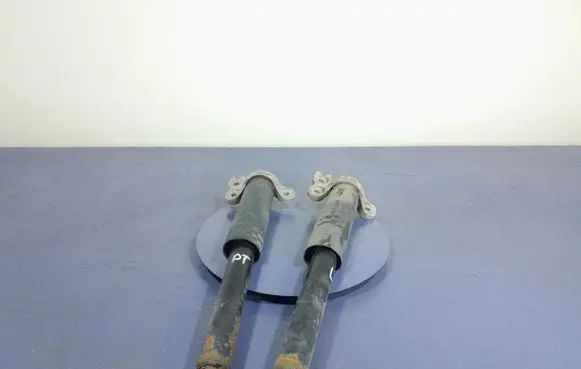 Opel Insignia A Rear shock absorber/damper 3174601
