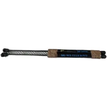 Tailgate strut