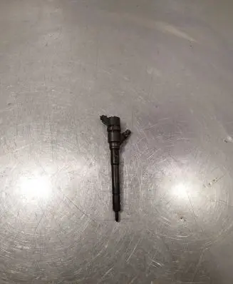 Hyundai Santa Fe Fuel injector 0445110254 3380027800