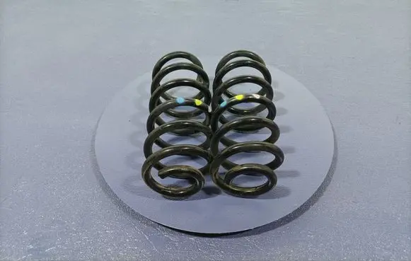 Renault Clio IV Rear coil spring