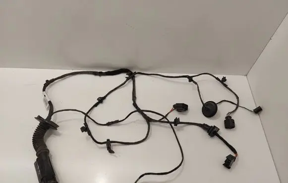Other wiring loom