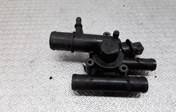 Thermostat/thermostat housing