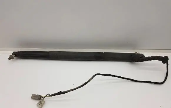 Tailgate strut