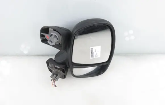 Renault Trafic II (X83) Front door electric wing mirror 
