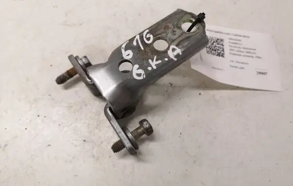 Rear door lower hinge