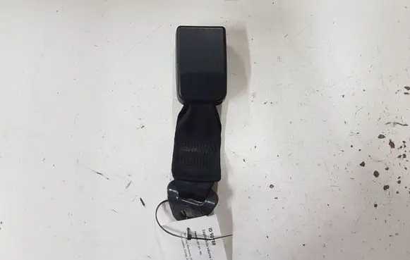 Peugeot 307 Middle seatbelt buckle (rear) EA02921