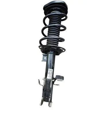 Front shock absorber with coil spring
