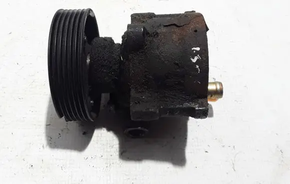 Renault Kangoo I Power steering pump 491106408R