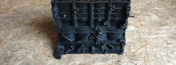 Volkswagen Bora Engine block AVB 038103021AN