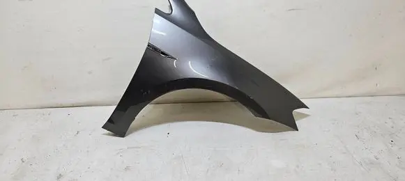 Volkswagen Golf VII Fender BLOTNIKGOLFVIIPG