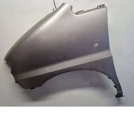 Hyundai H-1, Starex, Satellite Fender