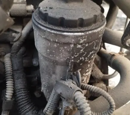 Volkswagen PASSAT B6 Oil filter cover 