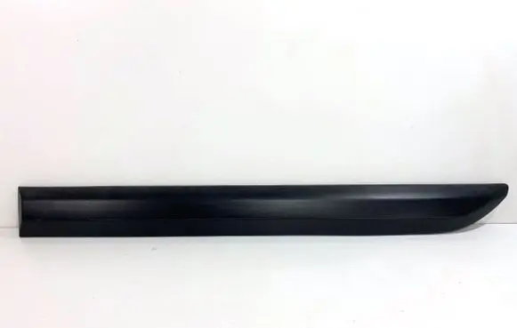 Rear door trim (molding)
