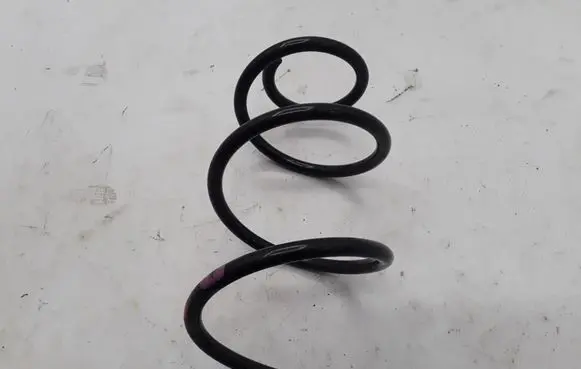 Front coil spring