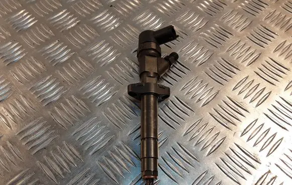 Renault Espace - Grand espace IV Fuel injector 0445110084
