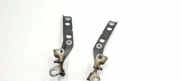 Citroen C4 II Picasso Engine bonnet/hood hinges 9676115180