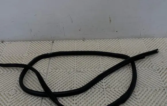 Nissan Qashqai Rubber seal front door (on door)