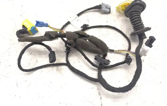 Front door wiring loom