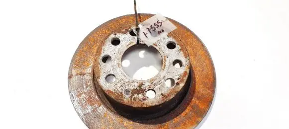 Skoda Octavia Mk2 (1Z) Rear brake disc neventiliuojamas