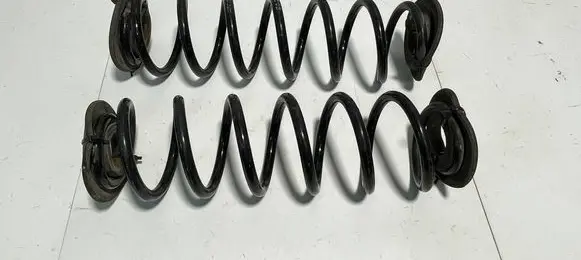 Rear coil spring