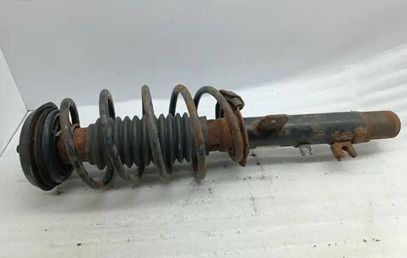 Citroen C3 Front shock absorber with coil spring 9653095280