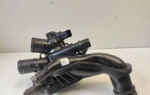 Thermostat/thermostat housing
