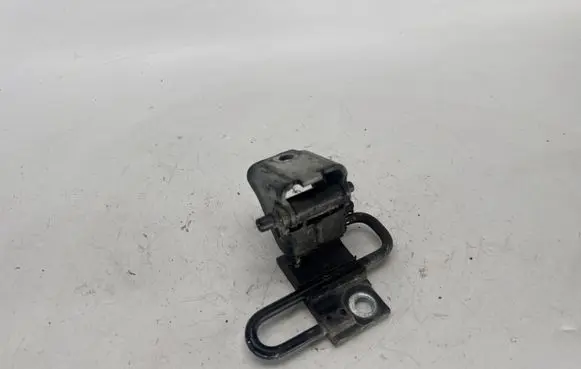 Audi Q7 4L Front door lower hinge 8E0831411