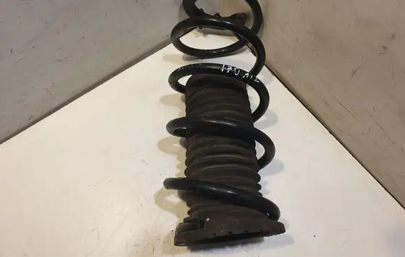 Rear coil spring