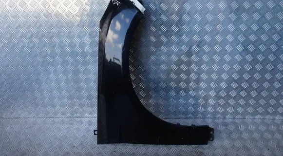 Ford Focus Fender